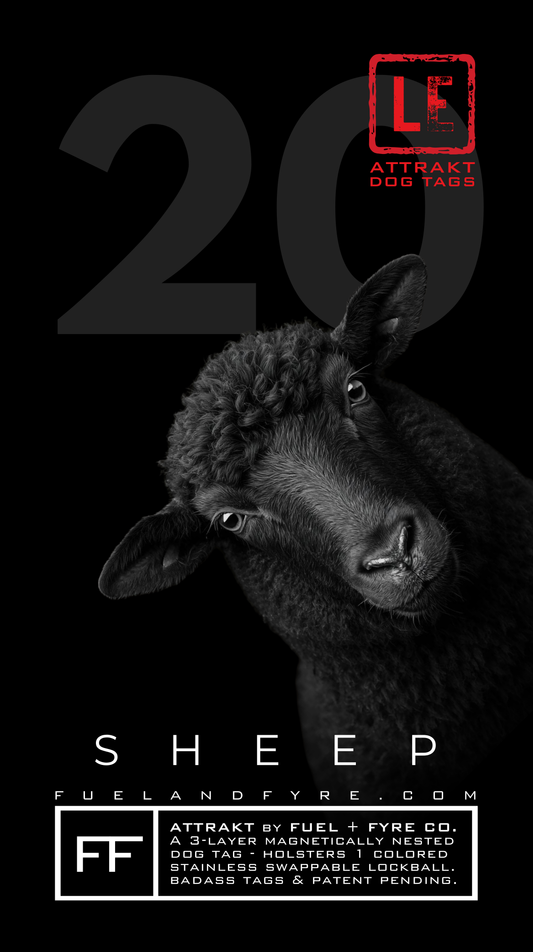 ATTRAKT LE | Magnetic Dog Tags | Black Sheep