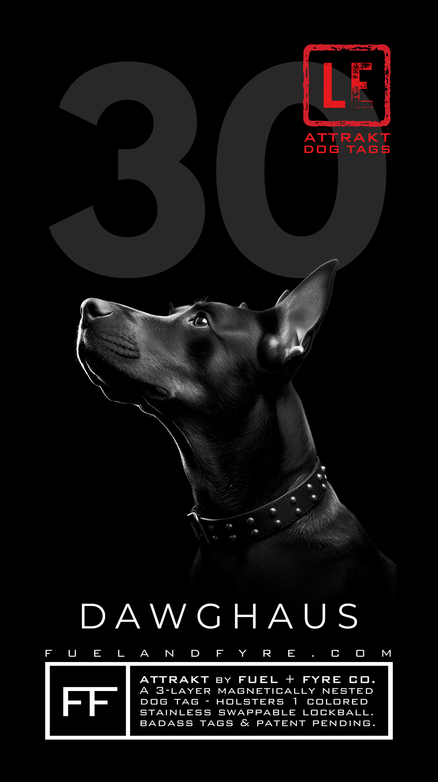 ATTRAKT LE | Magnetic Dog Tags | Dog Haus