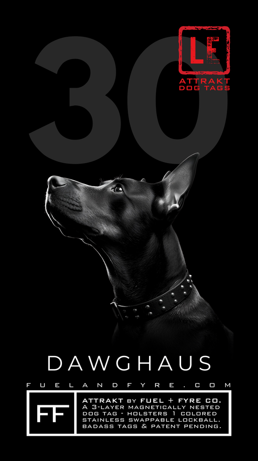 ATTRAKT LE | Magnetic Dog Tags | Dog Haus