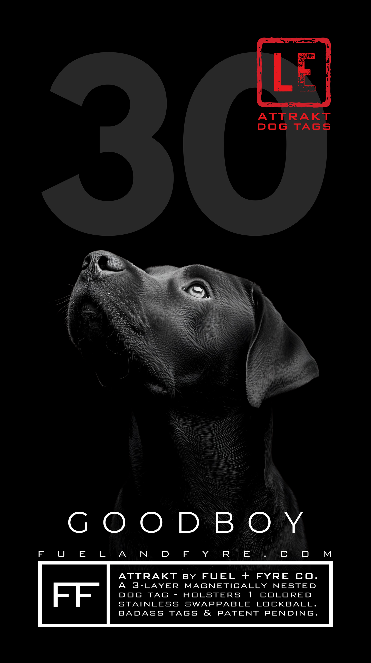 ATTRAKT LE | Magnetic Dog Tags | Good Boy