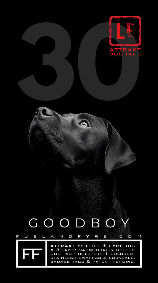 ATTRAKT LE | Magnetic Dog Tags | Good Boy