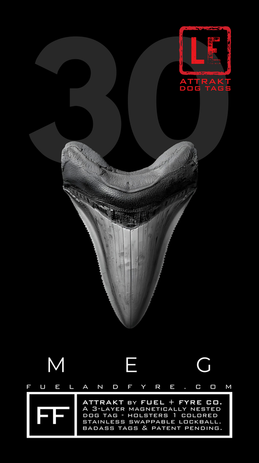 ATTRAKT LE | Magnetic Dog Tags | Meg
