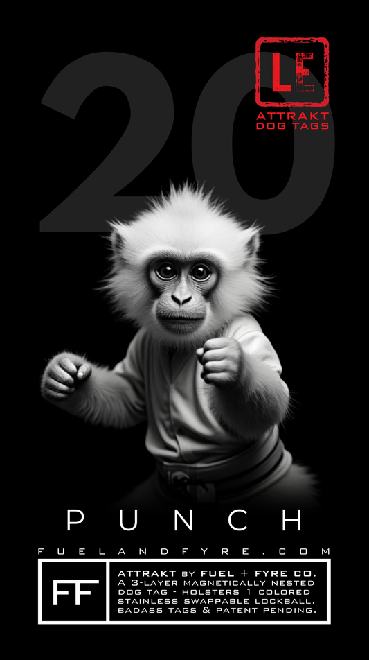ATTRAKT LE | Magnetic Dog Tags | Punch